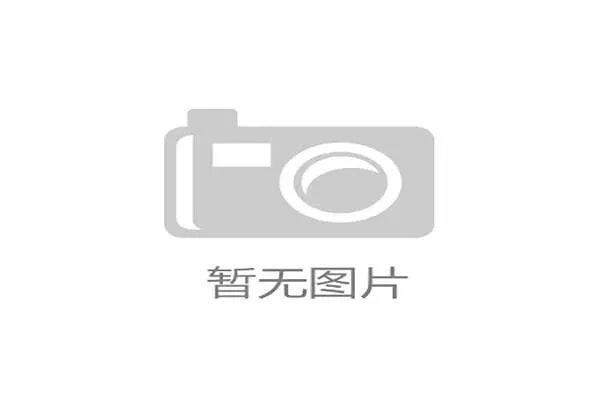 2026年世界杯伊朗与新西兰的比赛亮点及球队实力全面解析